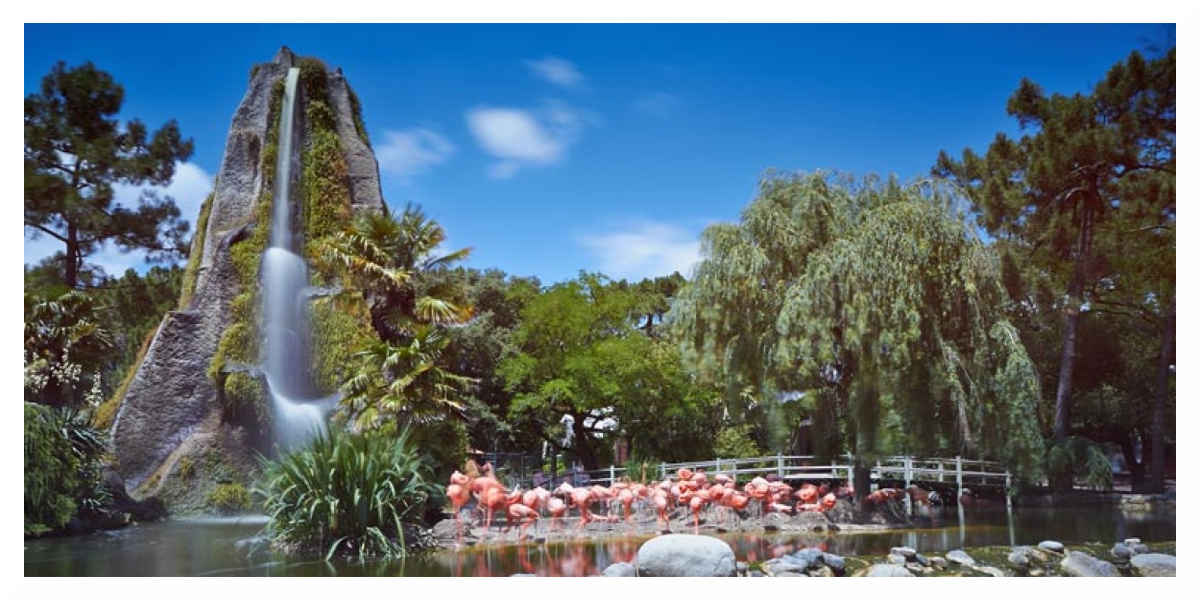 Le zoo de La Palmyre réduit le nombre d’animaux accueillis
